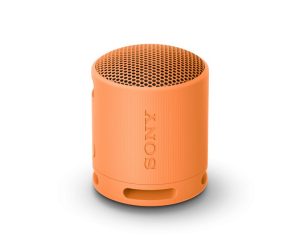 Φορητό Ηχείο Sony SRSXB100D